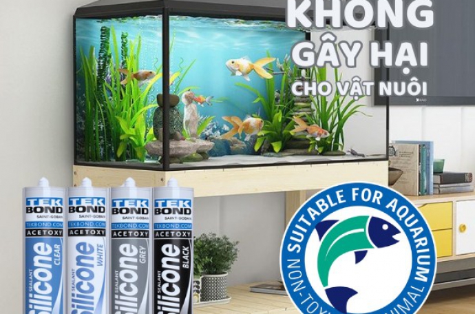 Keo Dán Hồ Cá: Giải Pháp Hiệu Quả Cho Hồ Cá Chắc Chắn và An Toàn