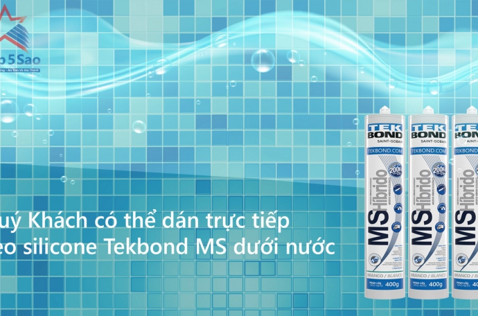 Tổng quan về Keo silicone Tekbond MS dán được dưới nước
